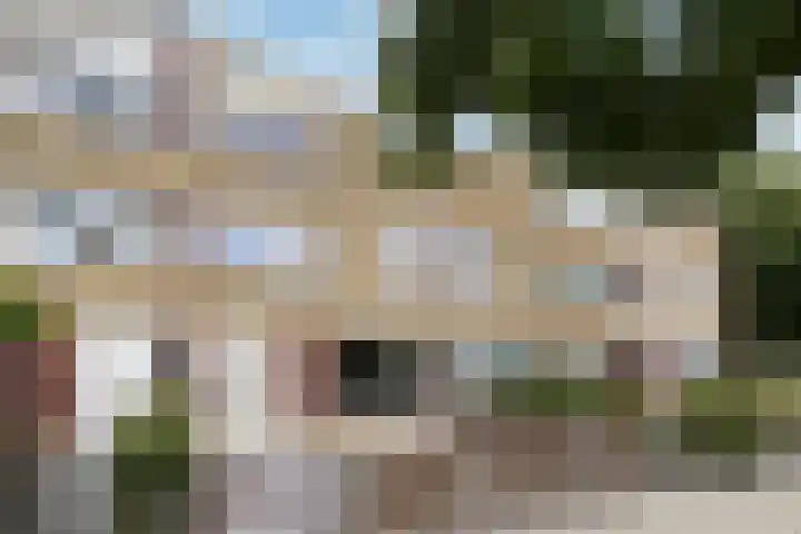 De Meeren 199 Zevenbergen thumbnail 72