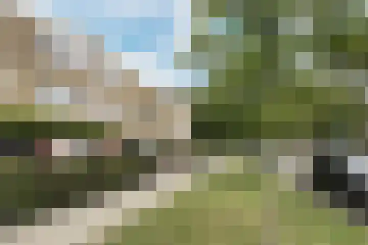 De Meeren 199 Zevenbergen thumbnail 75