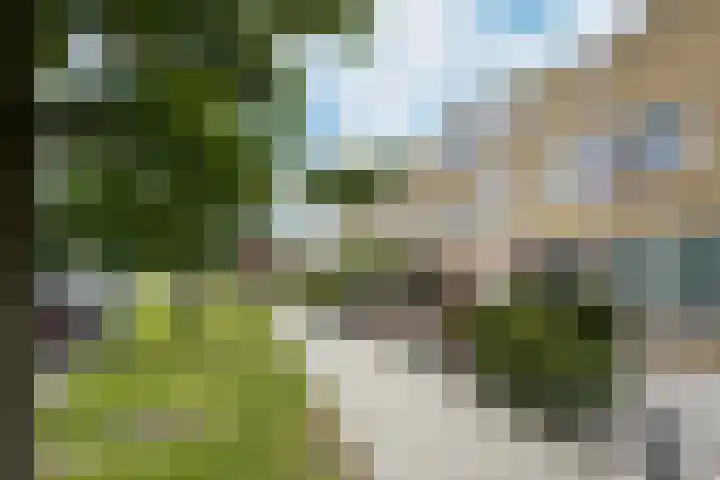 De Meeren 199 Zevenbergen thumbnail 76