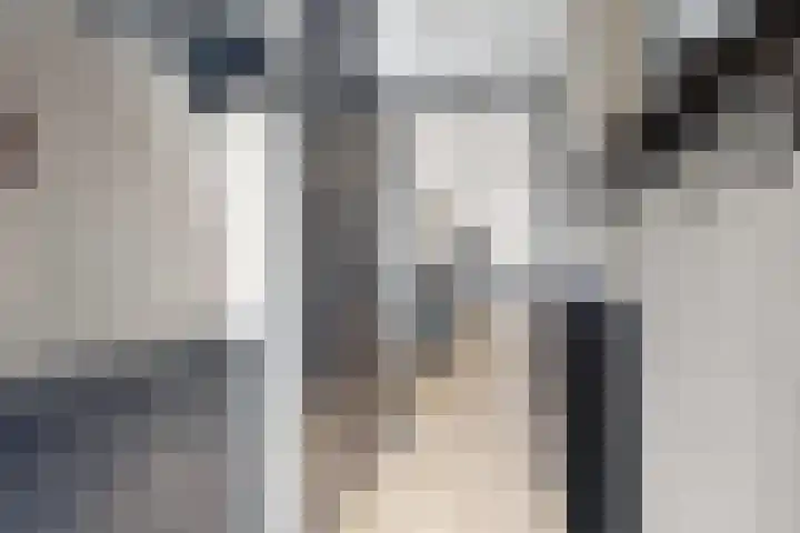 De Meeren 199 Zevenbergen thumbnail 8