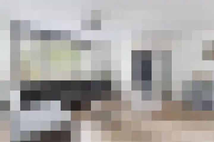 De Meeren 199 Zevenbergen thumbnail 9