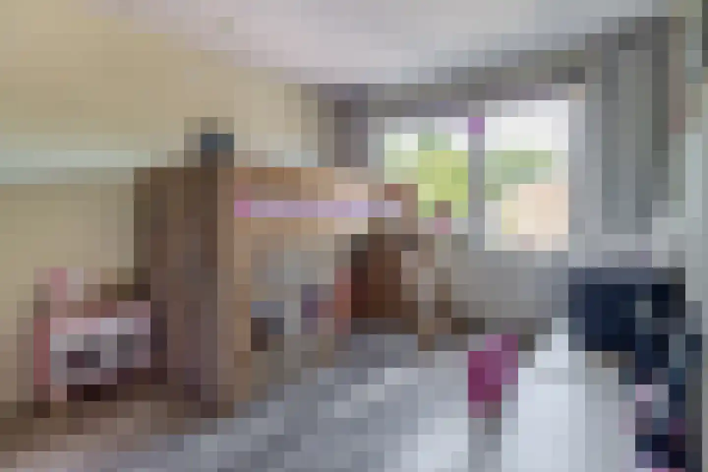 De Meeren 231 Zevenbergen thumbnail 33
