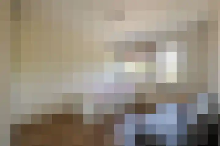 De Meeren 243 Zevenbergen thumbnail 21