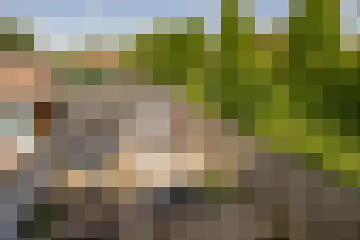 De Meeren 243 Zevenbergen thumbnail 26