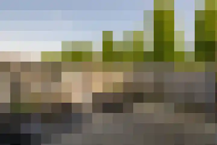 De Meeren 243 Zevenbergen thumbnail 27
