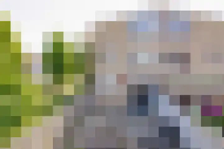 De Meeren 243 Zevenbergen thumbnail 30
