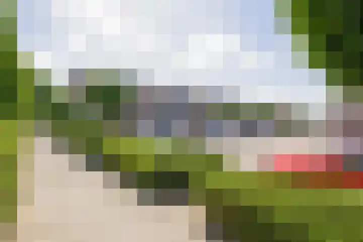 De Meeren 243 Zevenbergen thumbnail 31