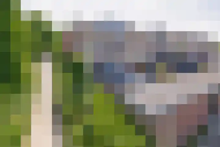 De Meeren 243 Zevenbergen thumbnail 4