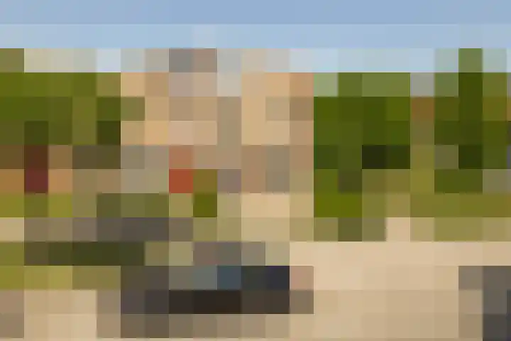 De Meeren 243 Zevenbergen thumbnail 5