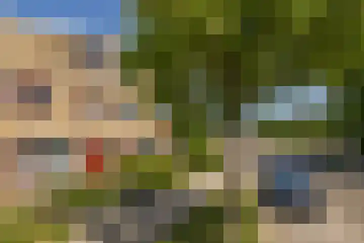 De Meeren 243 Zevenbergen thumbnail 6