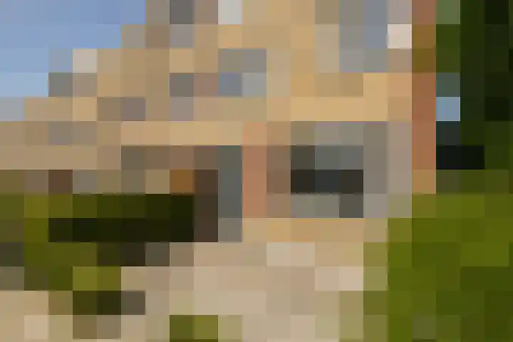 De Meeren 243 Zevenbergen thumbnail 7