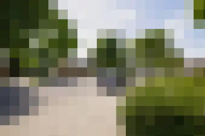 De Meeren 243 Zevenbergen thumbnail 8