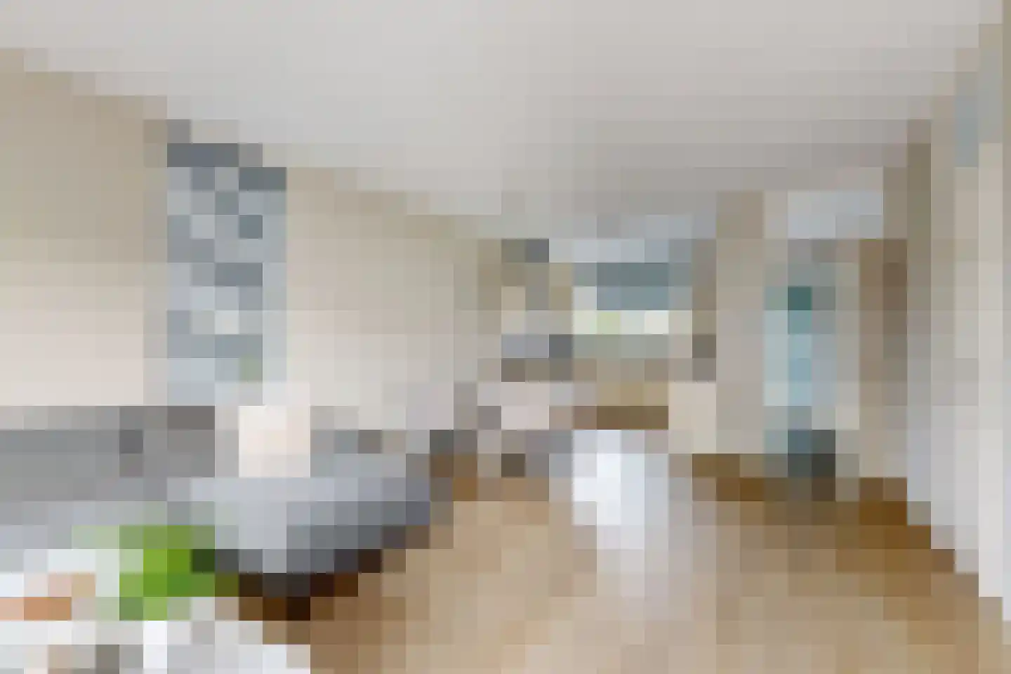 De Meeren 27 Zevenbergen thumbnail 27
