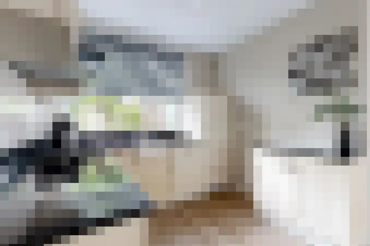 De Meeren 27 Zevenbergen thumbnail 32