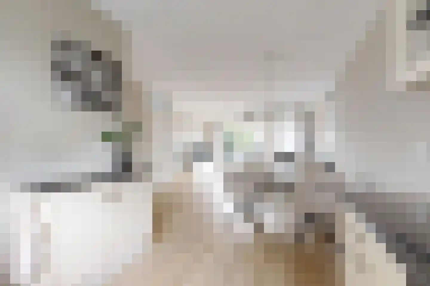 De Meeren 27 Zevenbergen thumbnail 34