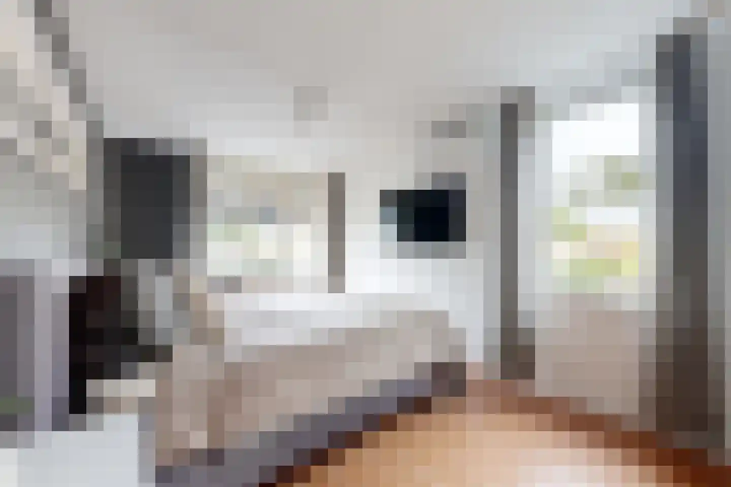 De Meeren 27 Zevenbergen thumbnail 39