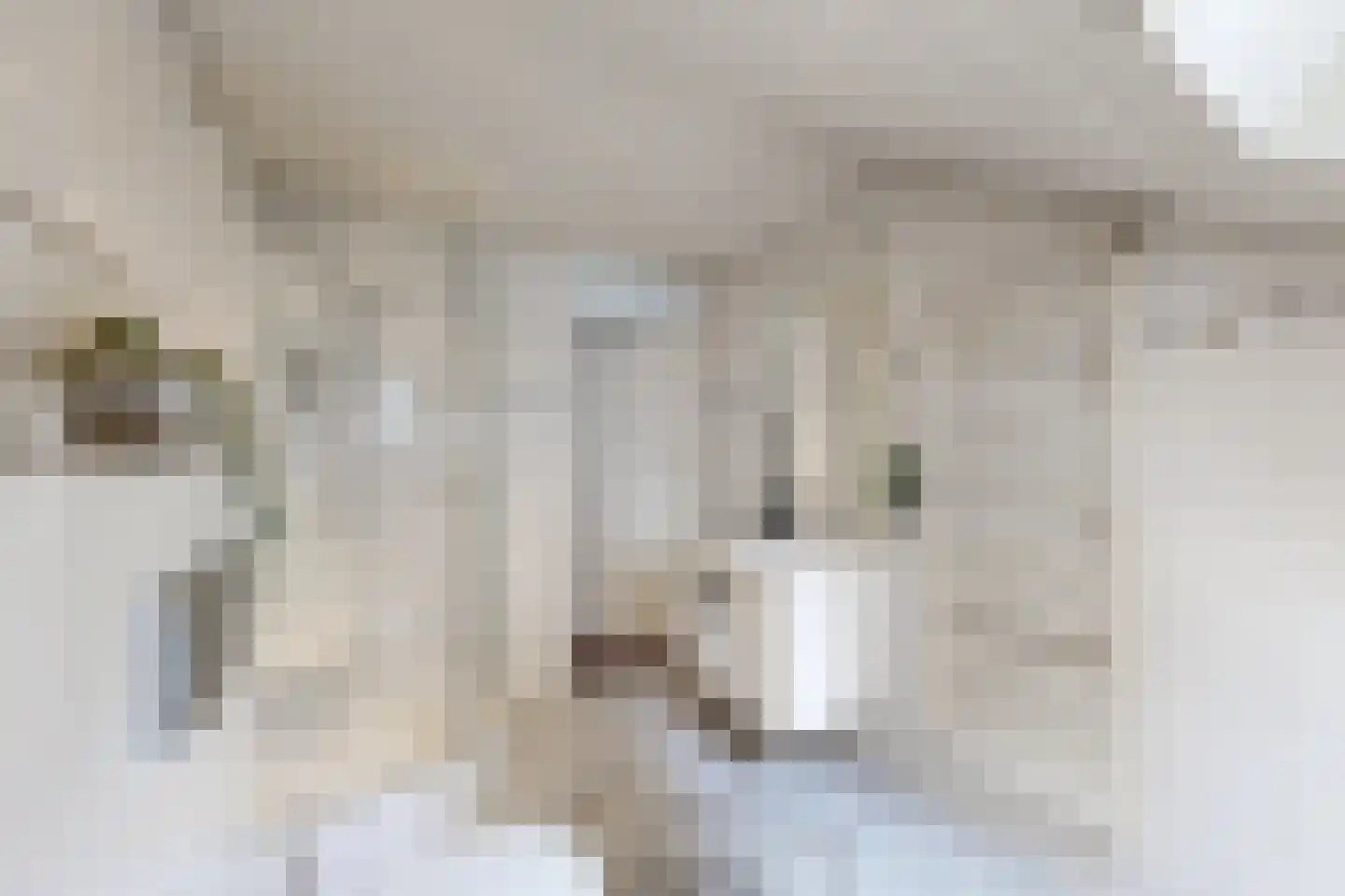 De Meeren 27 Zevenbergen thumbnail 49