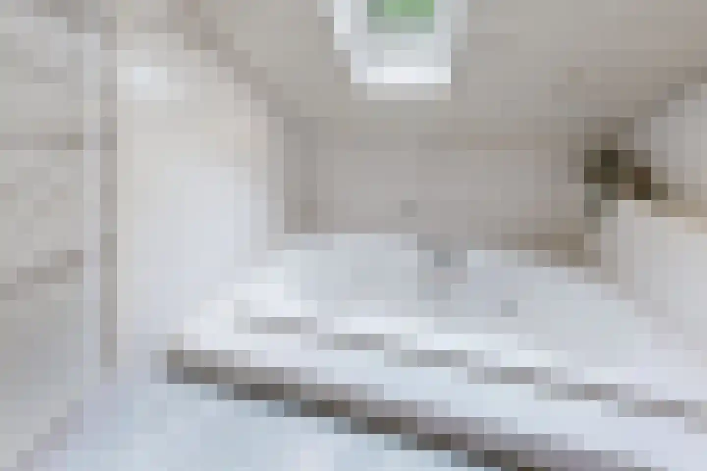 De Meeren 27 Zevenbergen thumbnail 56