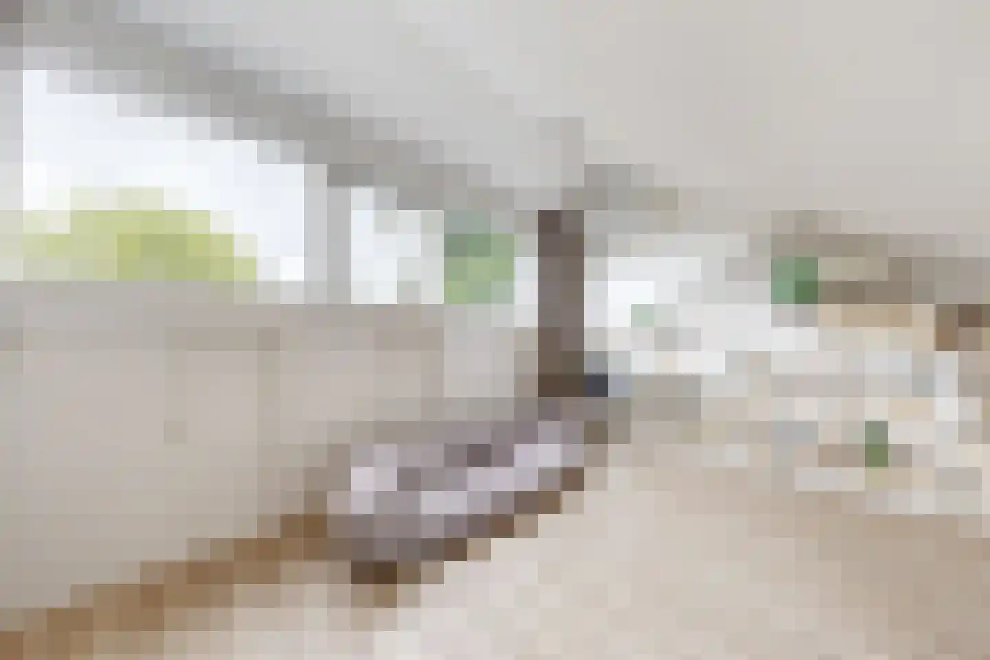 De Meeren 27 Zevenbergen thumbnail 62