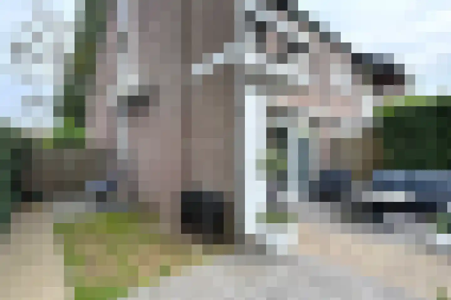 De Meeren 27 Zevenbergen thumbnail 66