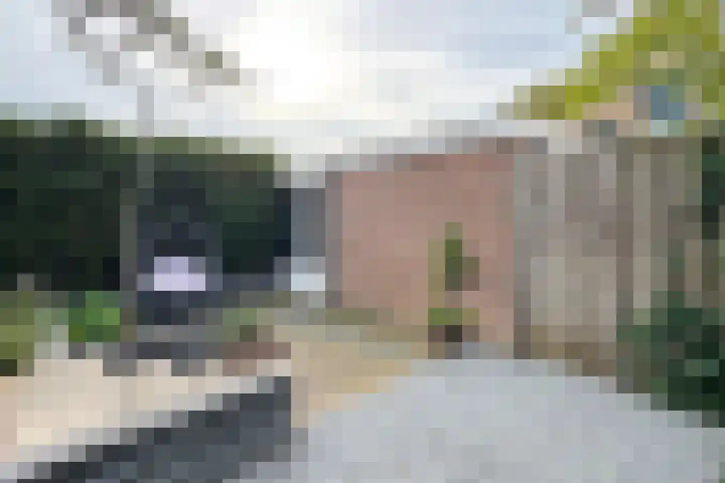 De Meeren 27 Zevenbergen thumbnail 71