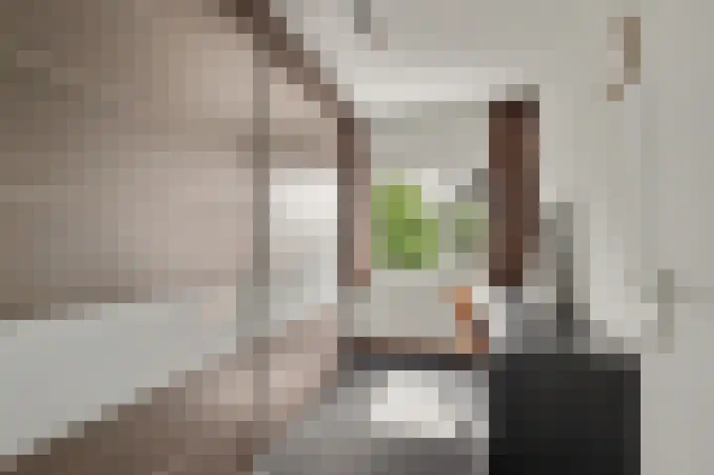 De Meeren 31 Zevenbergen thumbnail 21