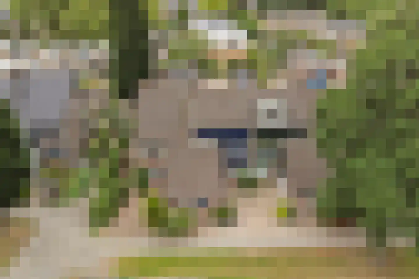 De Meeren 31 Zevenbergen thumbnail 39