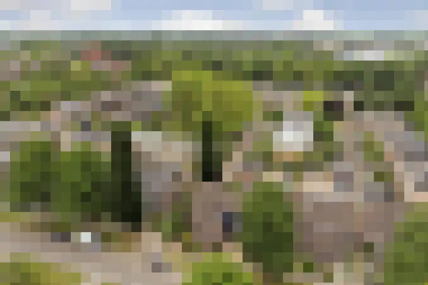 De Meeren 31 Zevenbergen thumbnail 40