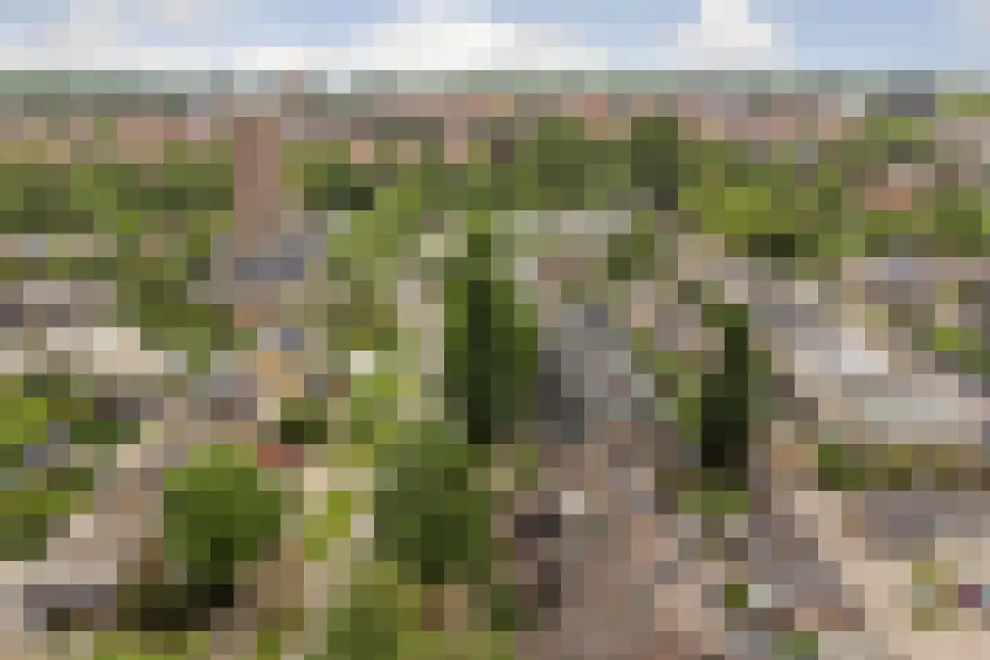 De Meeren 31 Zevenbergen thumbnail 41