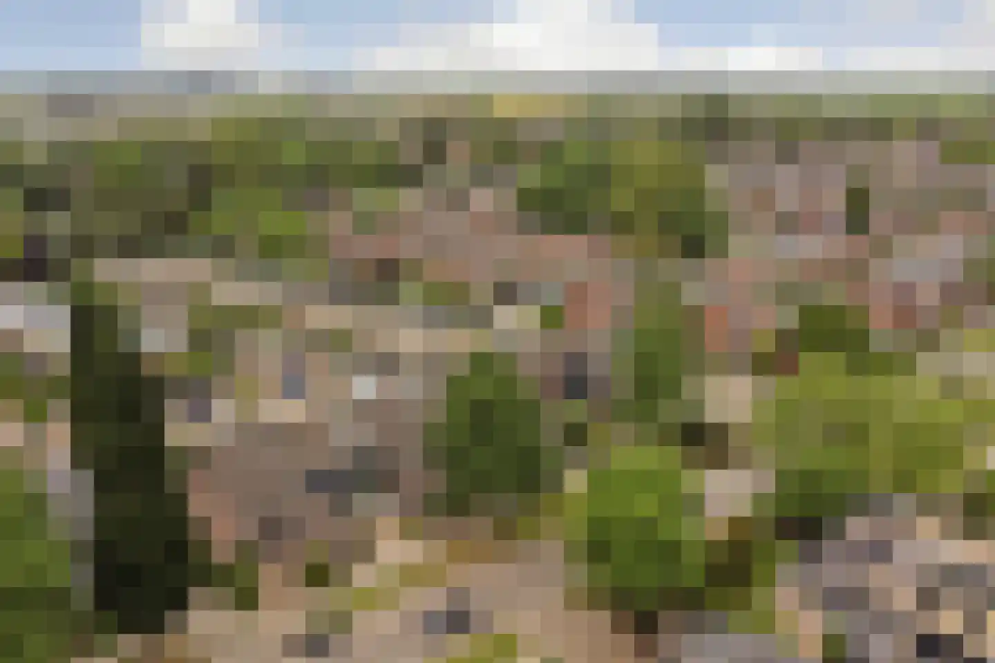 De Meeren 31 Zevenbergen thumbnail 42