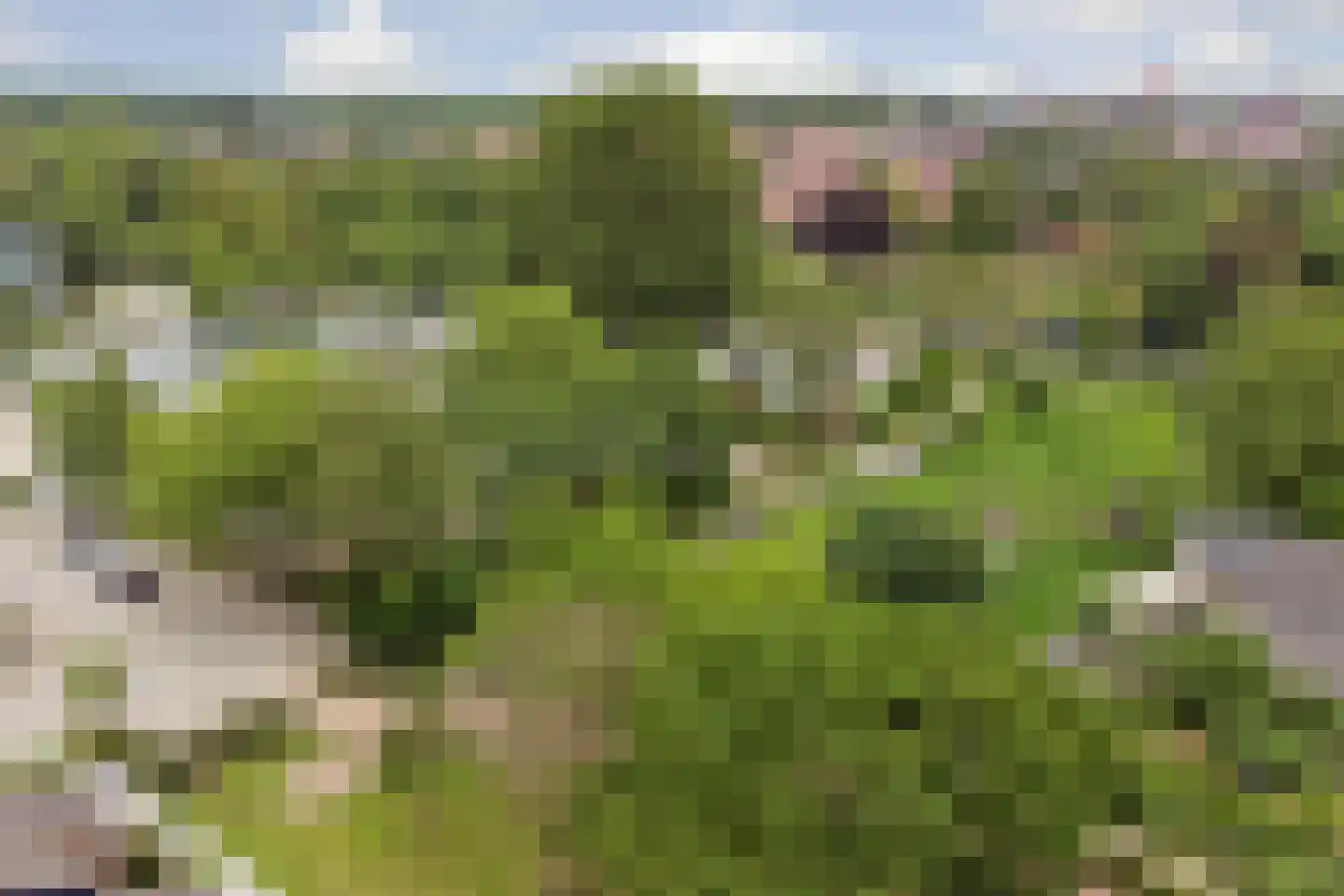 De Meeren 31 Zevenbergen thumbnail 45