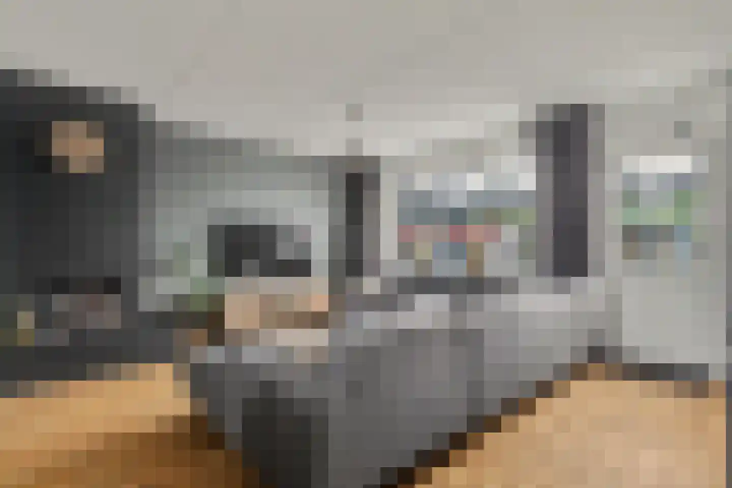 De Meeren 31 Zevenbergen thumbnail 5