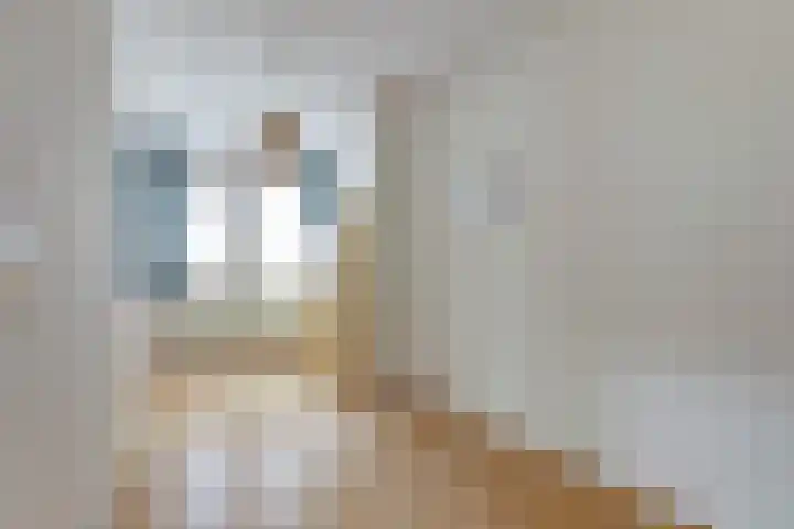 De Meerkoet 1 Almelo thumbnail 11