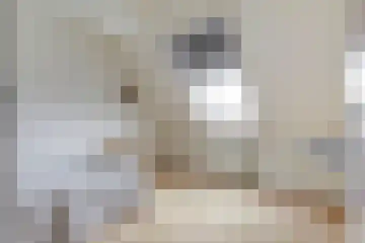 De Meerkoet 1 Almelo thumbnail 12