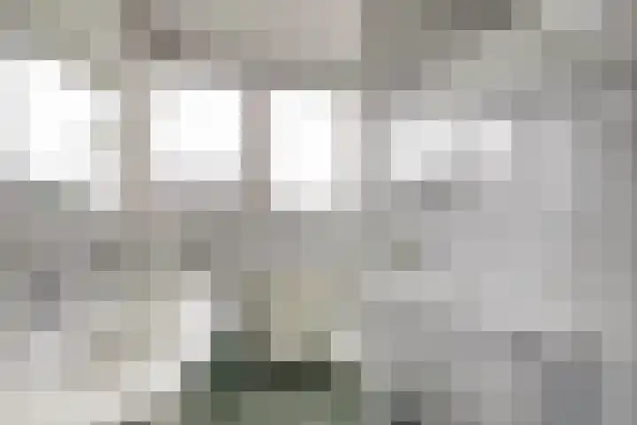 De Meerkoet 1 Almelo thumbnail 13