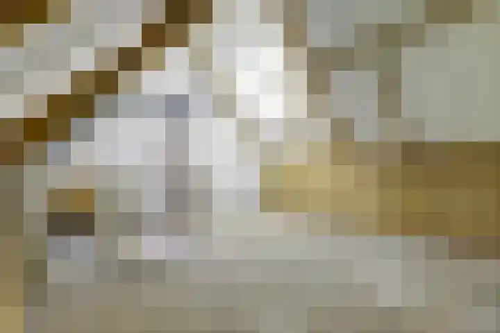 De Meerkoet 1 Almelo thumbnail 14