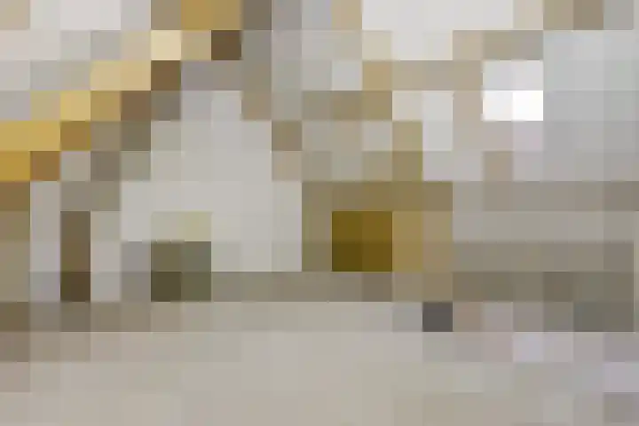 De Meerkoet 1 Almelo thumbnail 15