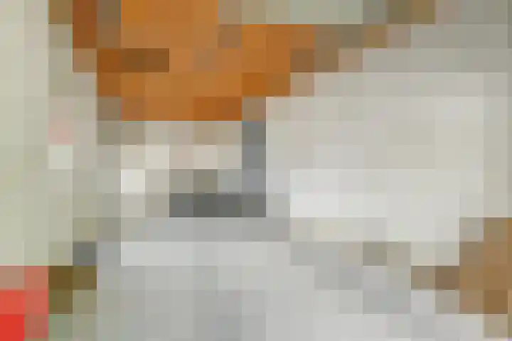 De Meerkoet 1 Almelo thumbnail 16
