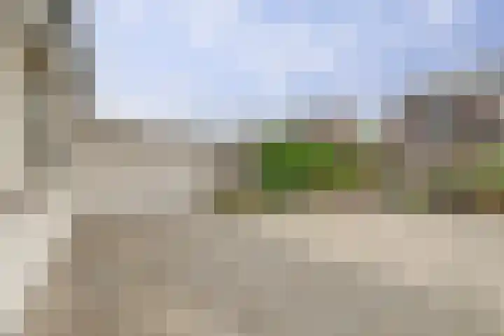 De Meerkoet 1 Almelo thumbnail 18
