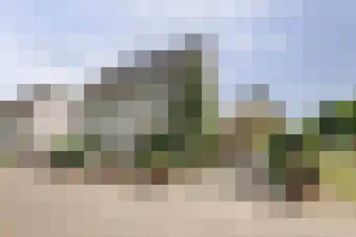 De Meerkoet 1 Almelo thumbnail 20