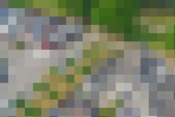 De Meerkoet 1 Almelo thumbnail 22