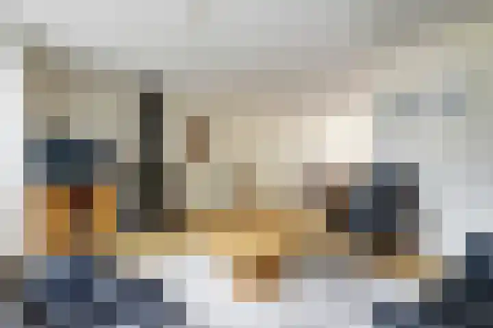 De Meerkoet 1 Almelo thumbnail 4