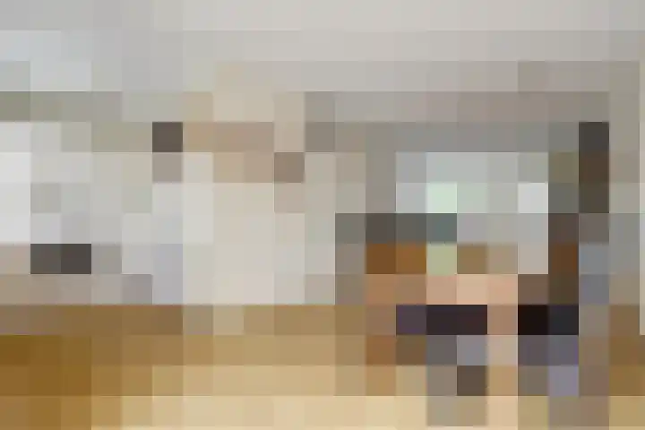 De Meerkoet 1 Almelo thumbnail 6
