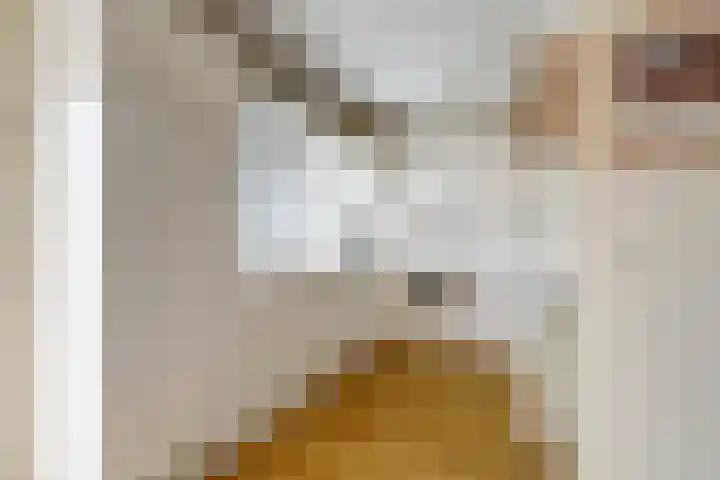De Meerkoet 1 Almelo thumbnail 7