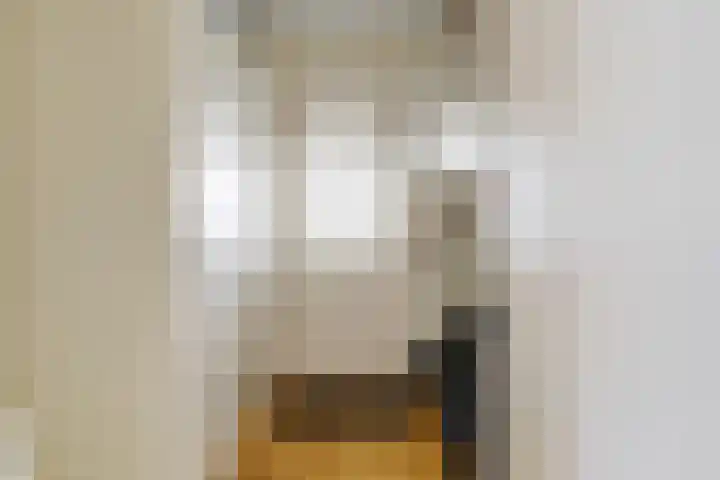 De Meerkoet 1 Almelo thumbnail 8
