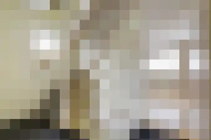 De Meerkoet 1 Almelo thumbnail 9