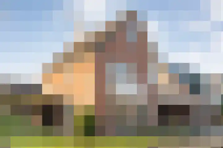 De Meerkoet 2 en Dedemsvaart