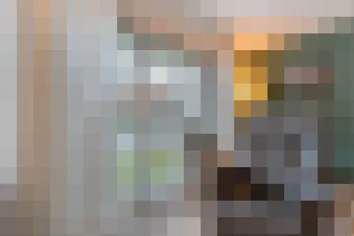 De Meerkoet 2 Dedemsvaart thumbnail 12