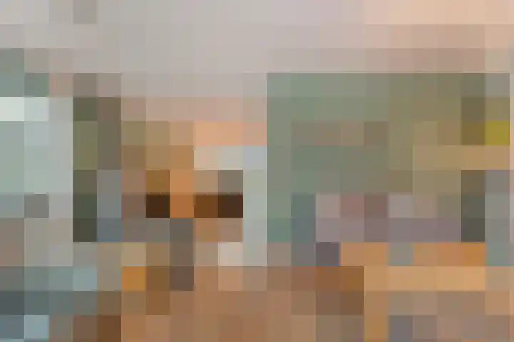De Meerkoet 2 Dedemsvaart thumbnail 13