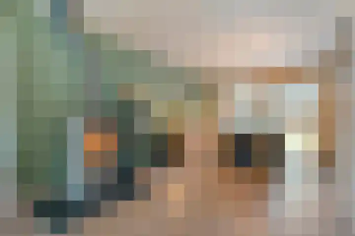 De Meerkoet 2 Dedemsvaart thumbnail 14